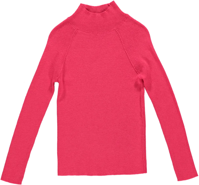 CIA JUMPER - 67 - BERRY